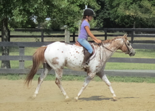 max pony 011web